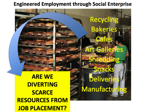 Agency-Owned Social Enterprises: Is It Draining Resources for Employment of People with Disabilities?